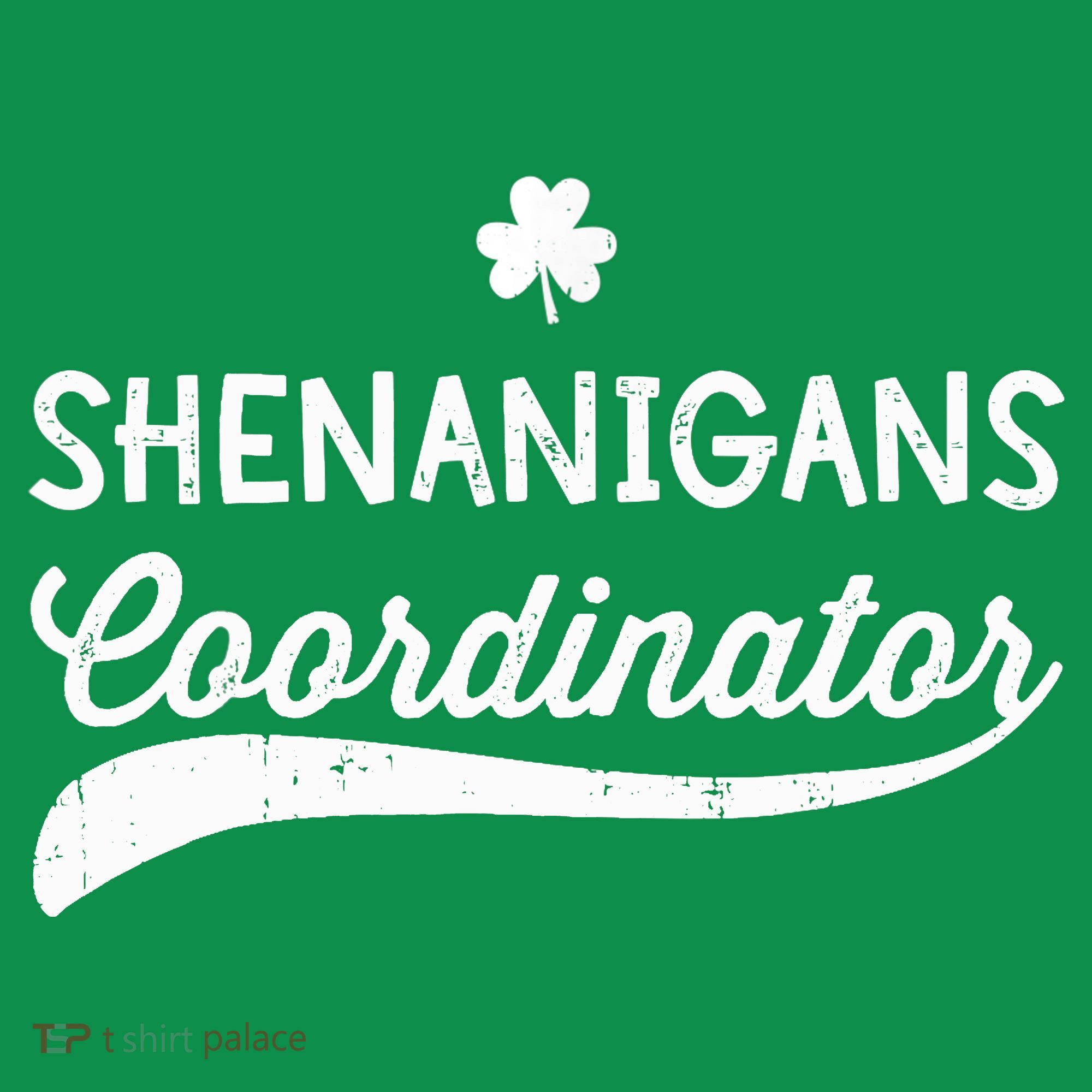 Funny Shenanigans Coordinator For St Patricks Day Outfit T-Shirt