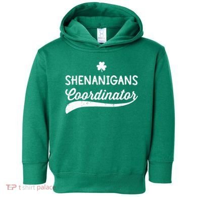 Funny Shenanigans Coordinator For St Patricks Day Outfit Toddler Hoodie
