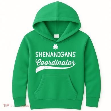 Funny Shenanigans Coordinator For St Patricks Day Outfit Kids Hoodie