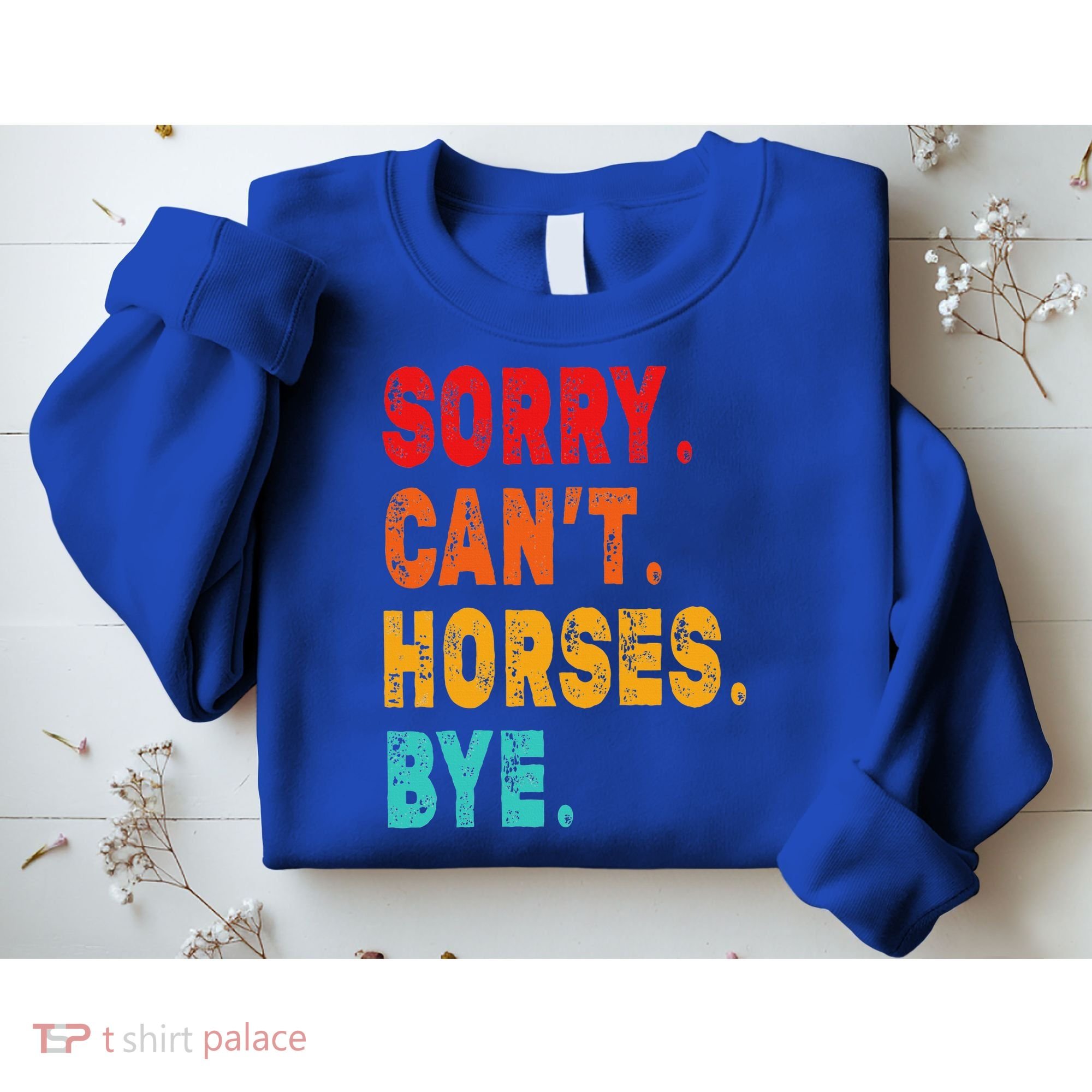 Funny Sorry Cant Horses Bye Sarcasm Funny Sarcasm Gift Sweatshirt