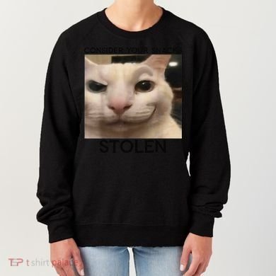 Funny Silly Cat Sarcastic Saying Funny Cat Women's Sweatshirt