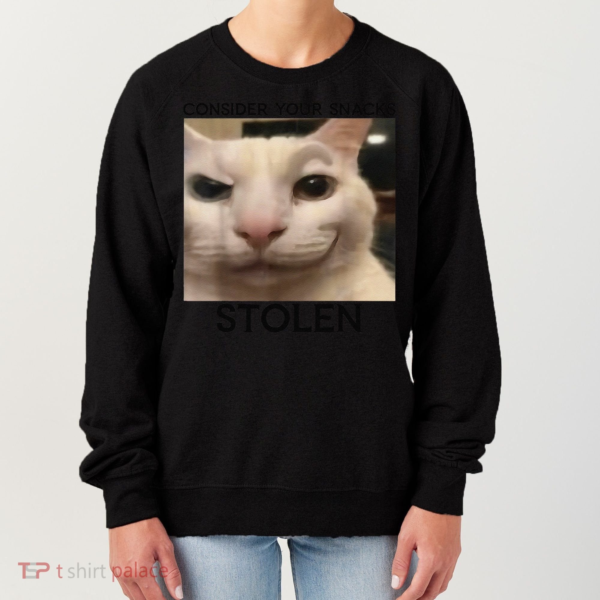 Funny Silly Cat Sarcastic Saying Funny Cat Women's Sweatshirt