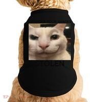 Funny Silly Cat Sarcastic Saying Funny Cat Doggie Tank thumb 0