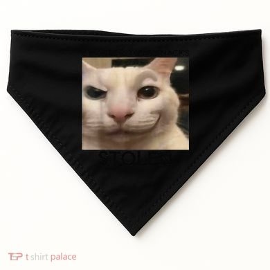 Funny Silly Cat Sarcastic Saying Funny Cat USA-Made Doggie Bandana