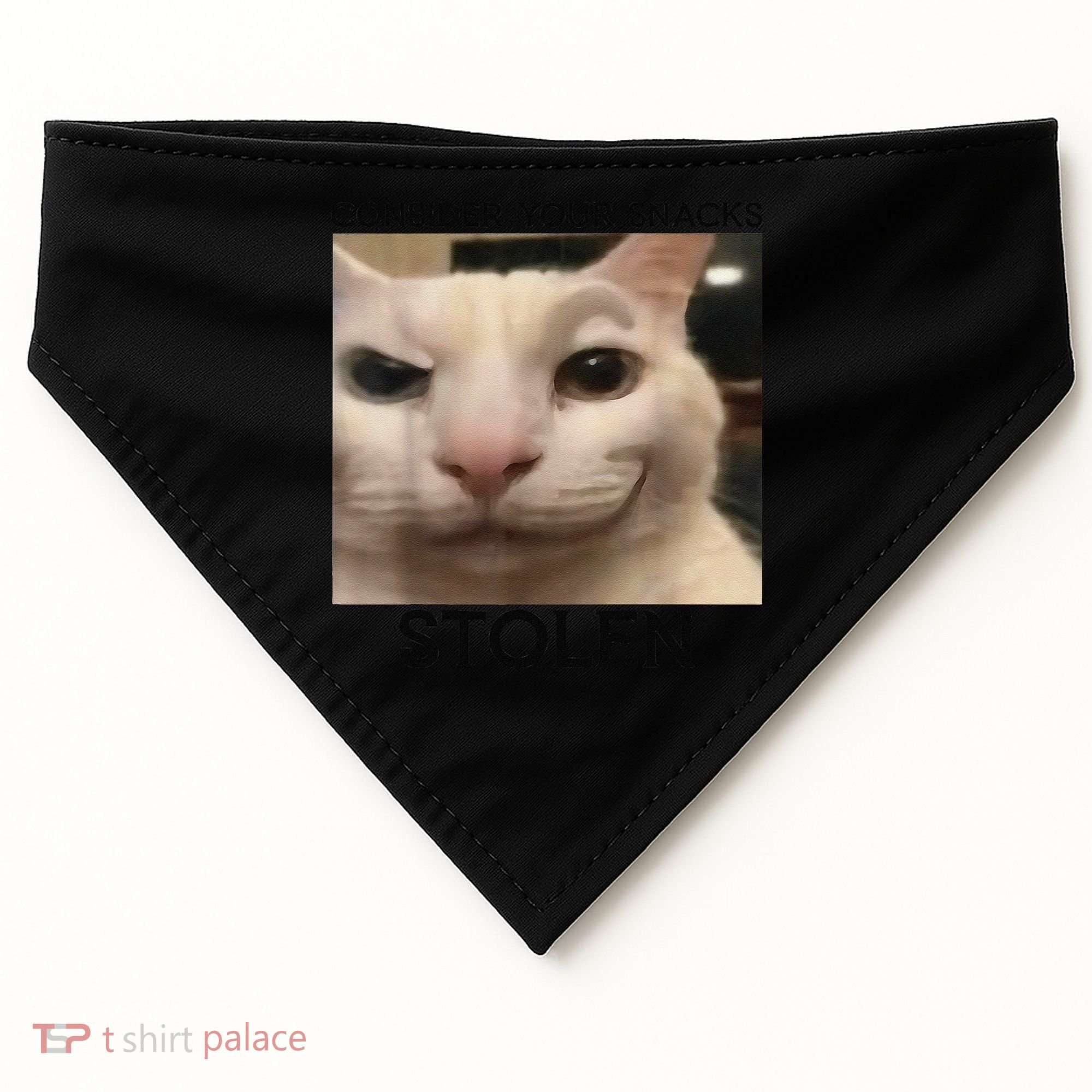 Funny Silly Cat Sarcastic Saying Funny Cat USA-Made Doggie Bandana