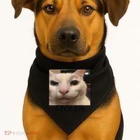 Funny Silly Cat Sarcastic Saying Funny Cat USA-Made Doggie Bandana thumb 1