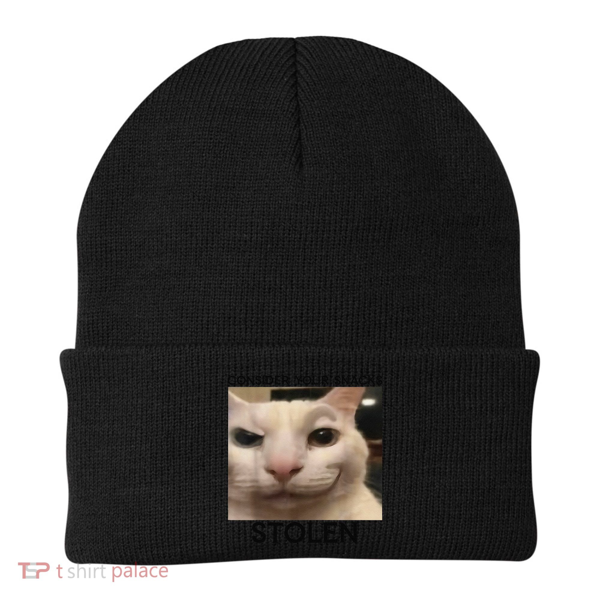 Funny Silly Cat Sarcastic Saying Funny Cat Beanie