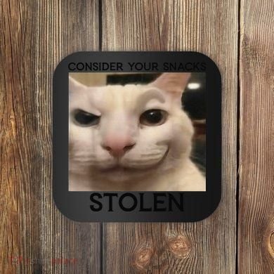 Funny Silly Cat Sarcastic Saying Funny Cat Coaster