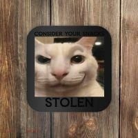 Funny Silly Cat Sarcastic Saying Funny Cat Coaster thumb 0