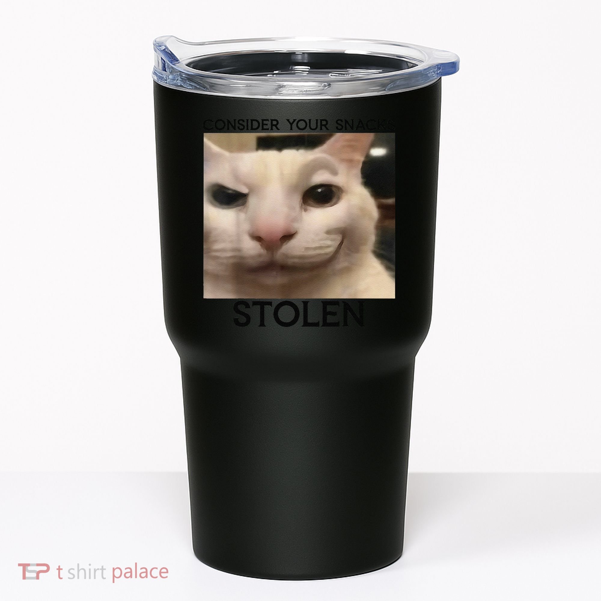 Funny Silly Cat Sarcastic Saying Funny Cat Tumbler