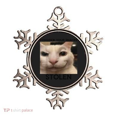 Funny Silly Cat Sarcastic Saying Funny Cat Ornament