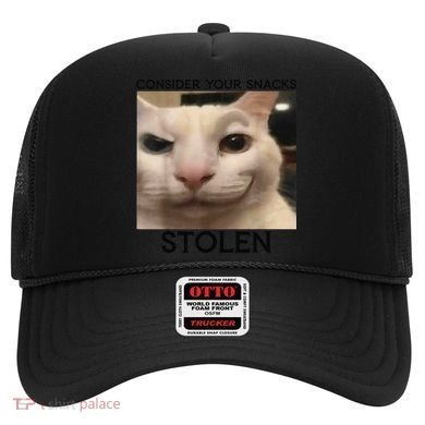 Funny Silly Cat Sarcastic Saying Funny Cat Hat