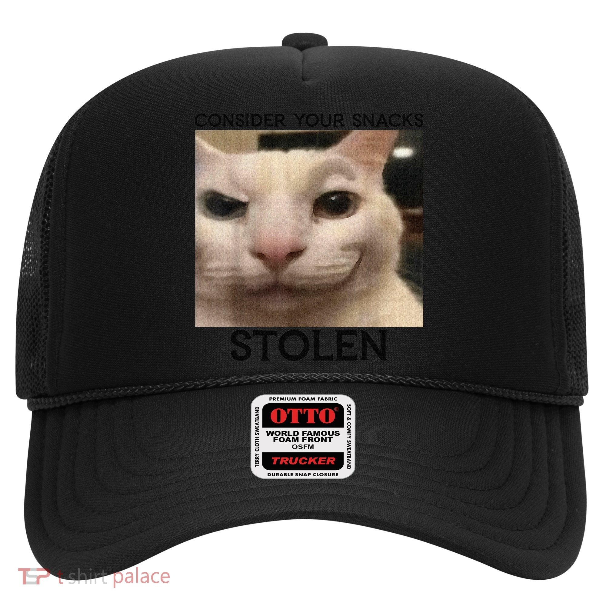 Funny Silly Cat Sarcastic Saying Funny Cat Hat