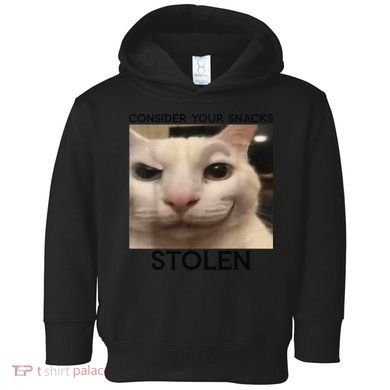 Funny Silly Cat Sarcastic Saying Funny Cat Toddler Hoodie