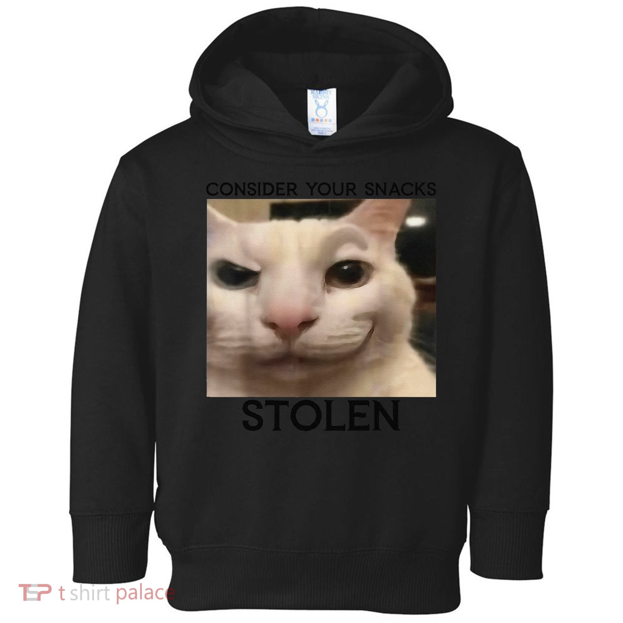 Funny Silly Cat Sarcastic Saying Funny Cat Toddler Hoodie