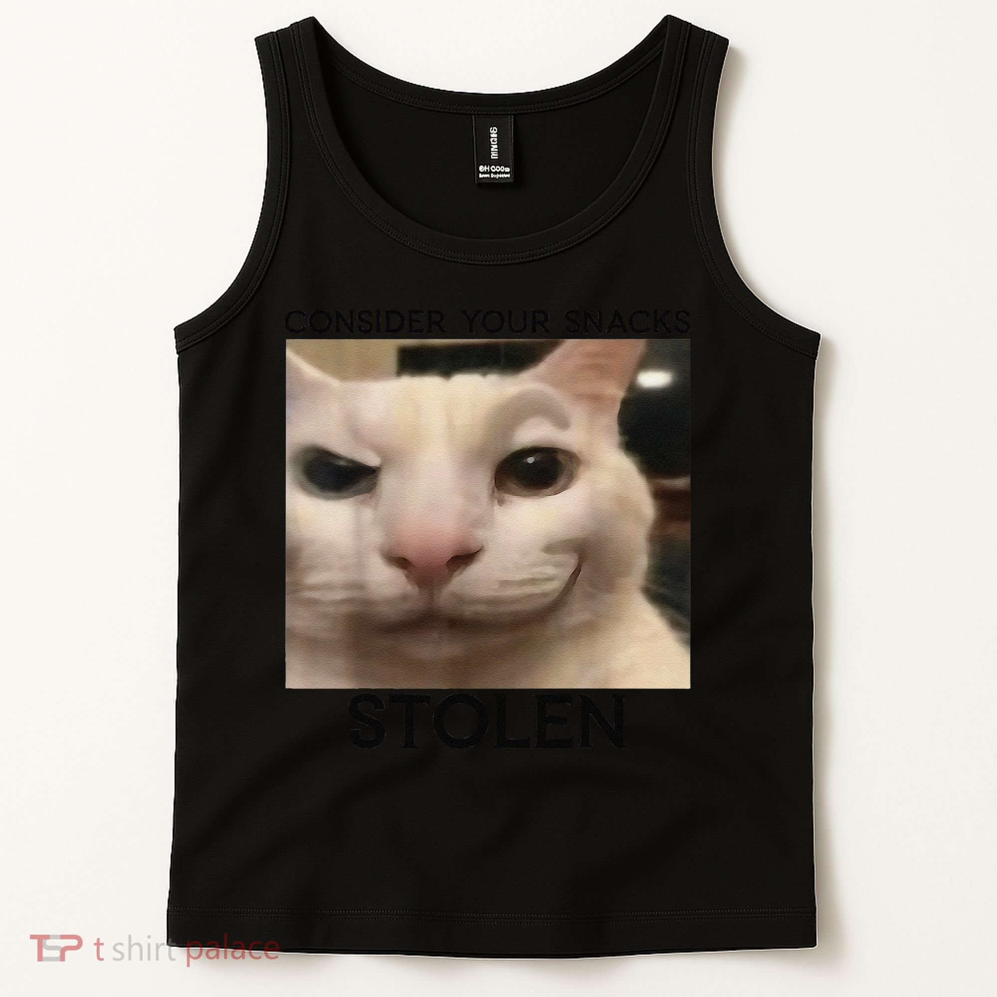 Funny Silly Cat Sarcastic Saying Funny Cat Tank Top
