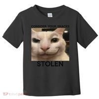 Funny Silly Cat Sarcastic Saying Funny Cat Toddler T-Shirt thumb 0