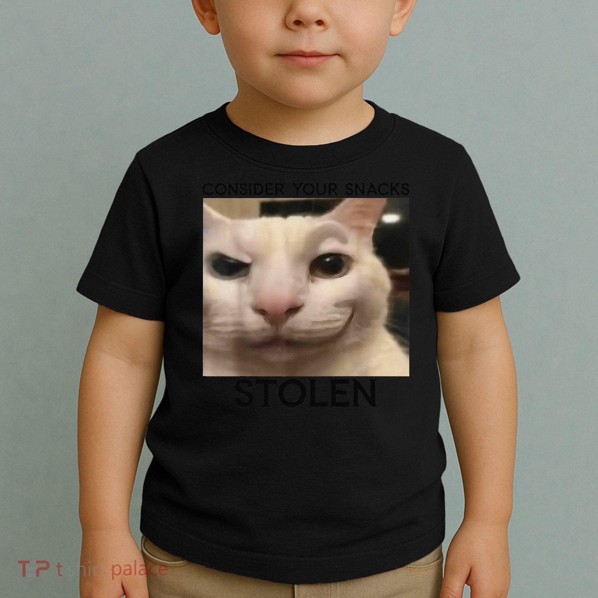 Funny Silly Cat Sarcastic Saying Funny Cat Toddler T-Shirt