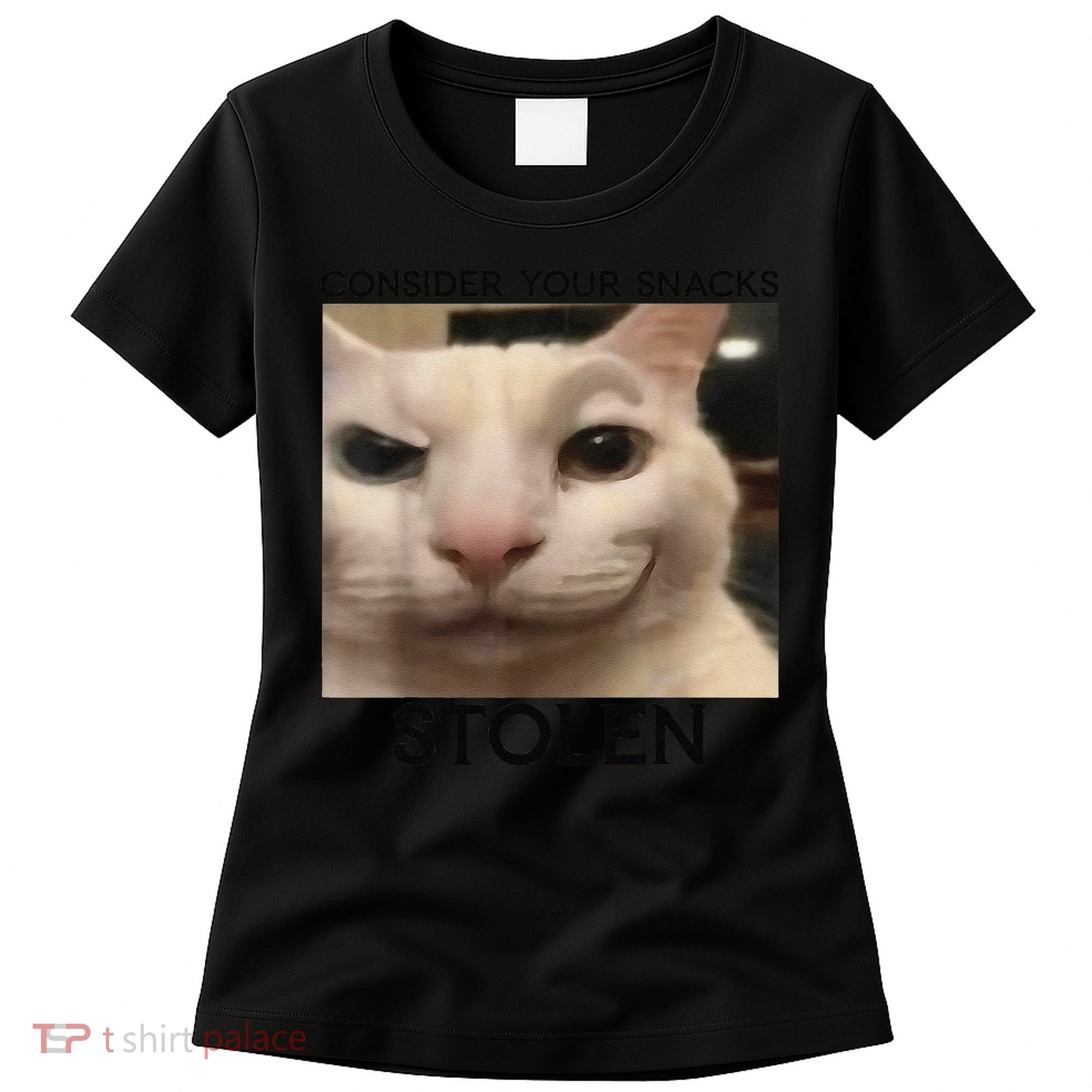 Funny Silly Cat Sarcastic Saying Funny Cat Women's T-Shirt