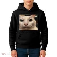 Funny Silly Cat Sarcastic Saying Funny Cat Kids Hoodie thumb 4