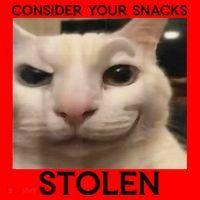 Funny Silly Cat Sarcastic Saying Funny Cat Santa Hat thumb 1
