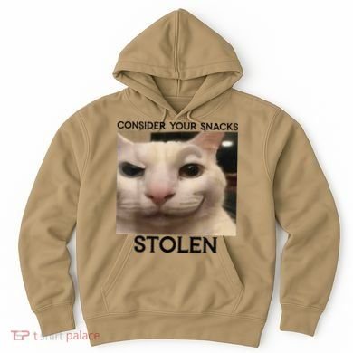 Funny Silly Cat Sarcastic Saying Funny Cat Hoodie
