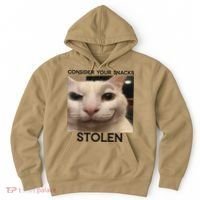 Funny Silly Cat Sarcastic Saying Funny Cat Hoodie thumb 0