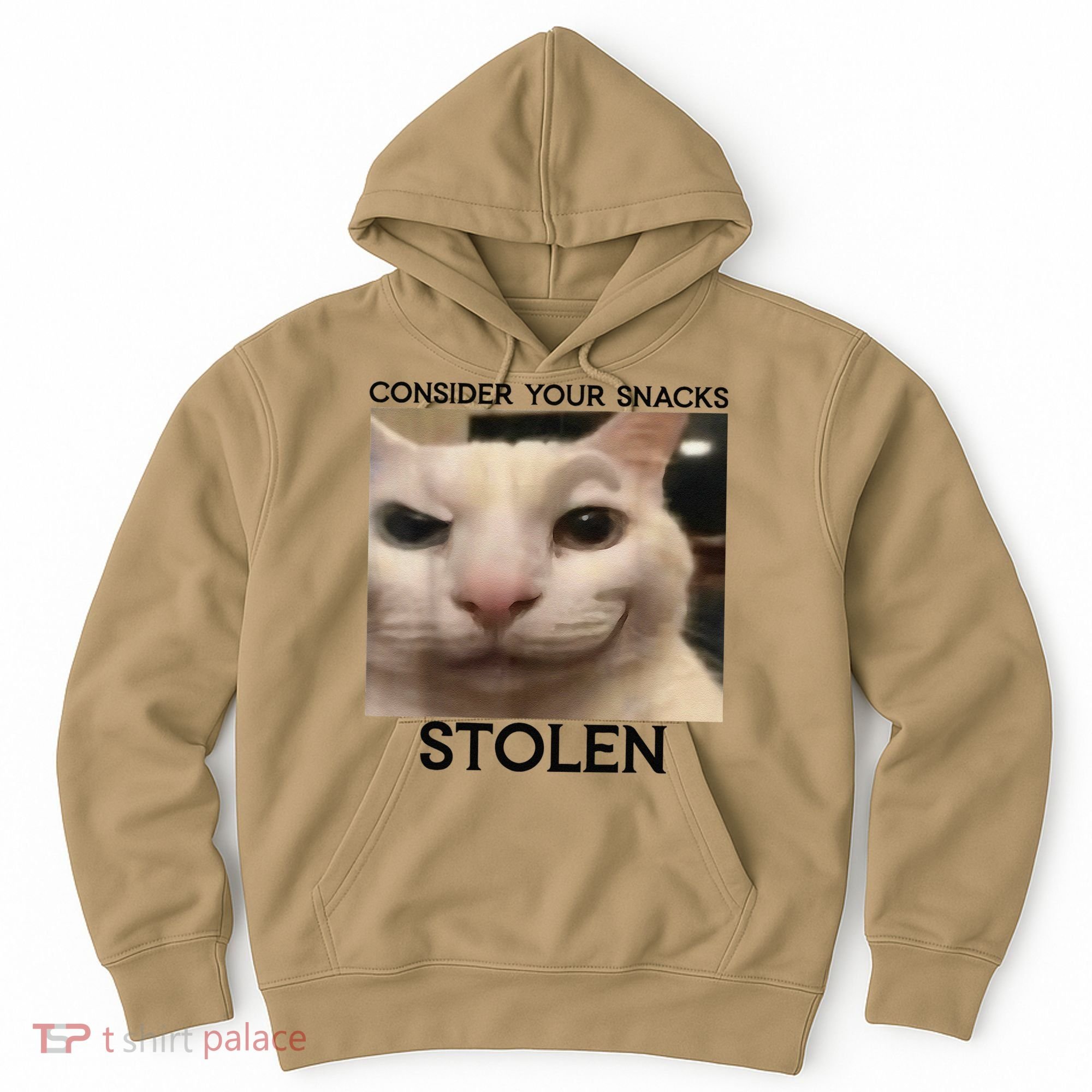 Funny Silly Cat Sarcastic Saying Funny Cat Hoodie