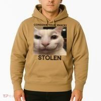 Funny Silly Cat Sarcastic Saying Funny Cat Hoodie thumb 2