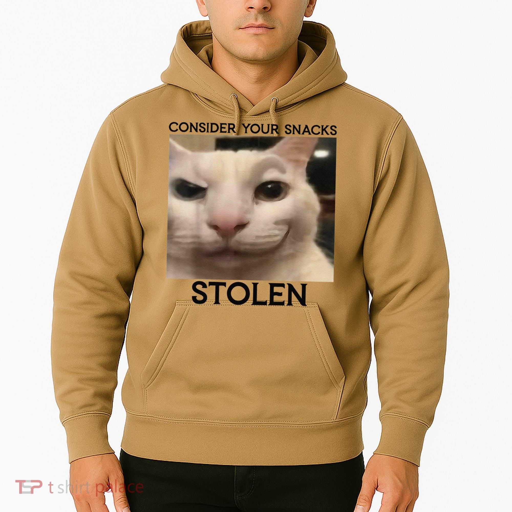 Funny Silly Cat Sarcastic Saying Funny Cat Hoodie