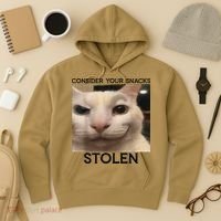 Funny Silly Cat Sarcastic Saying Funny Cat Hoodie thumb 3