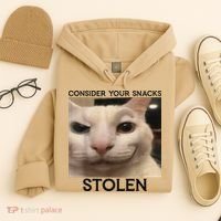 Funny Silly Cat Sarcastic Saying Funny Cat Hoodie thumb 4