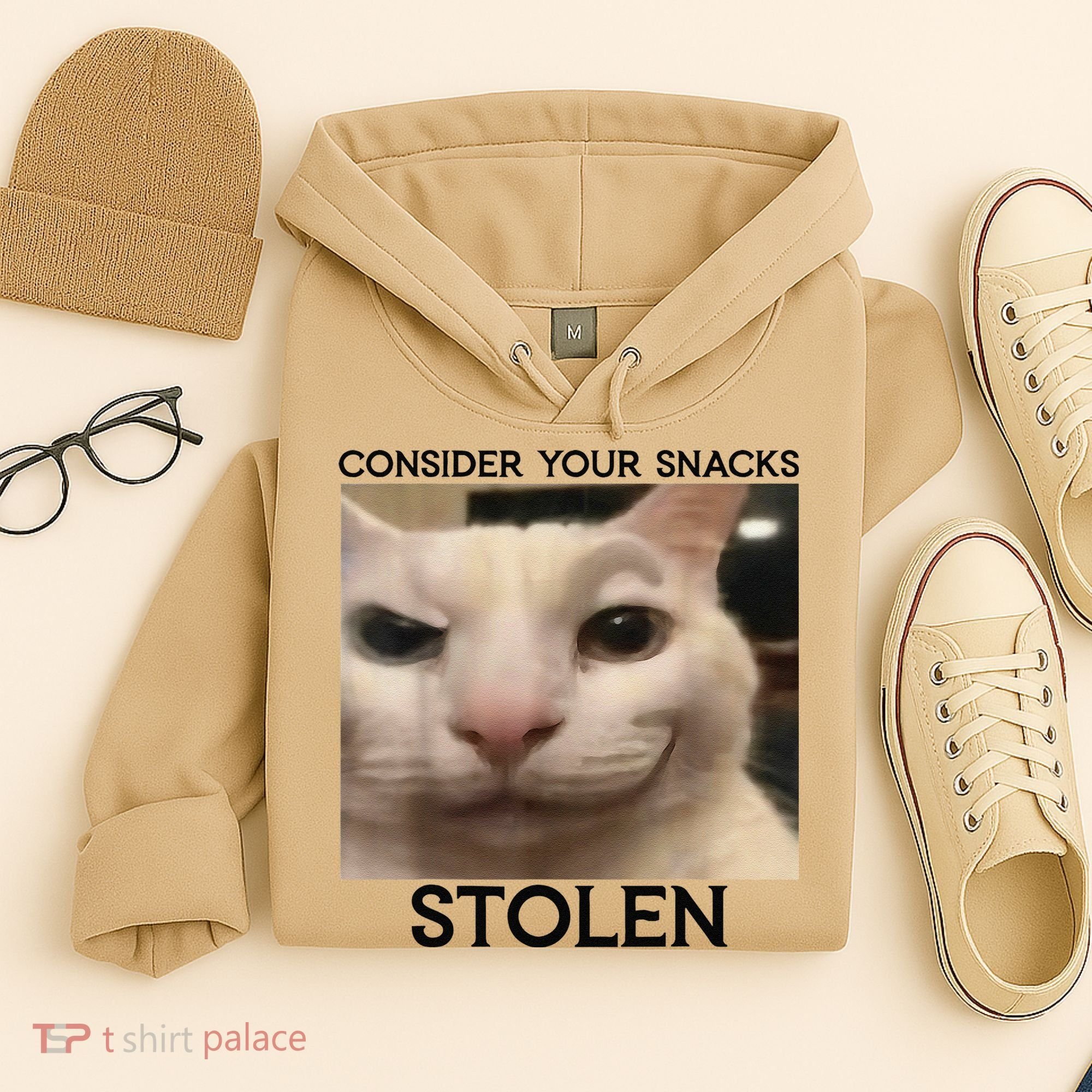 Funny Silly Cat Sarcastic Saying Funny Cat Hoodie