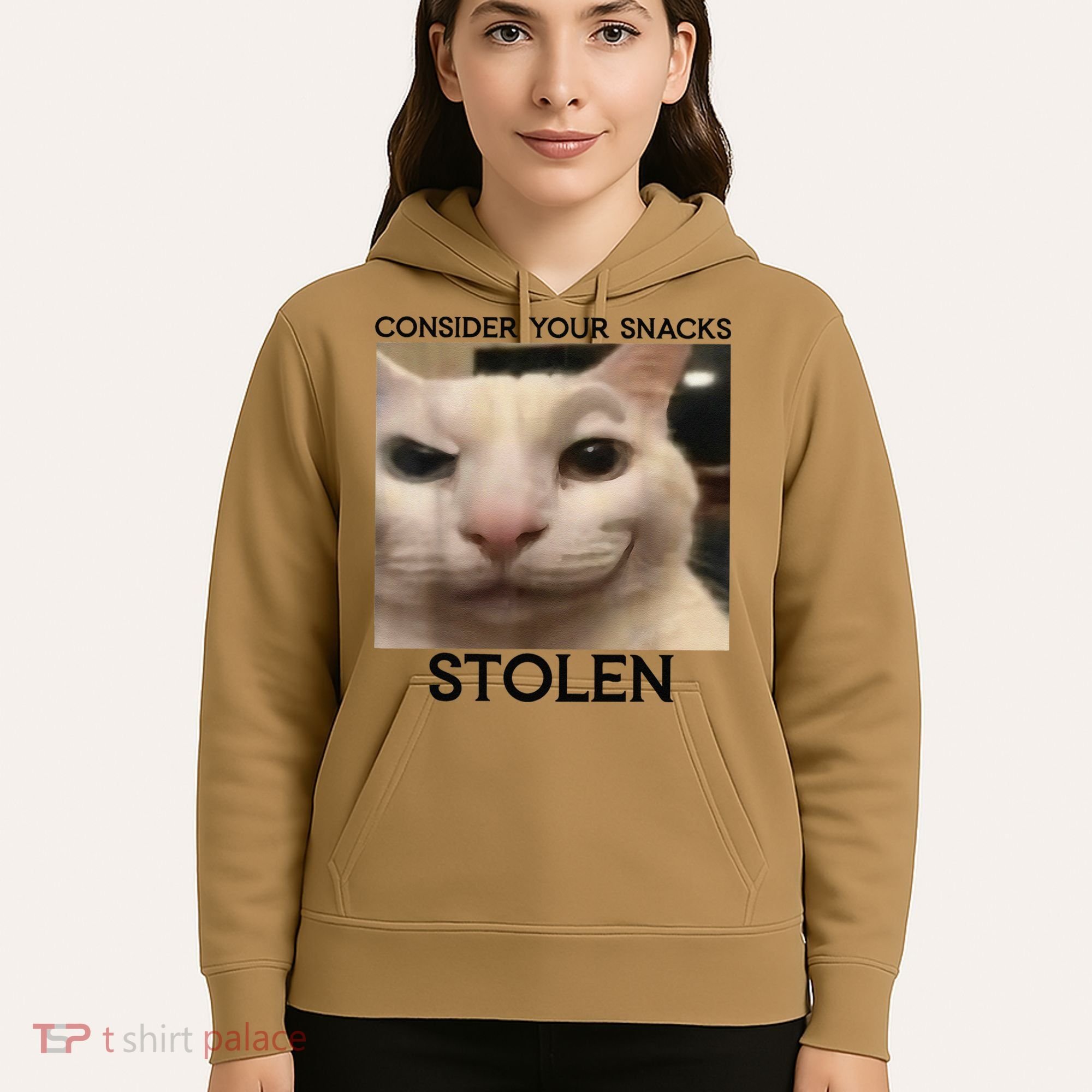 Funny Silly Cat Sarcastic Saying Funny Cat Hoodie