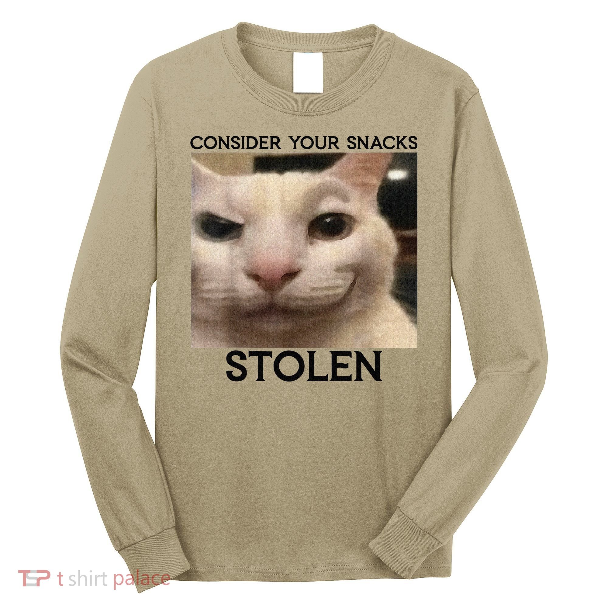 Funny Silly Cat Sarcastic Saying Funny Cat Long Sleeve Shirt