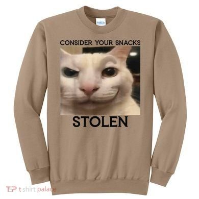 Funny Silly Cat Sarcastic Saying Funny Cat Sweatshirt
