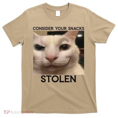 Funny Silly Cat Sarcastic Saying Funny Cat T-Shirt