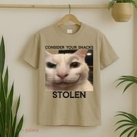Funny Silly Cat Sarcastic Saying Funny Cat T-Shirt thumb 2