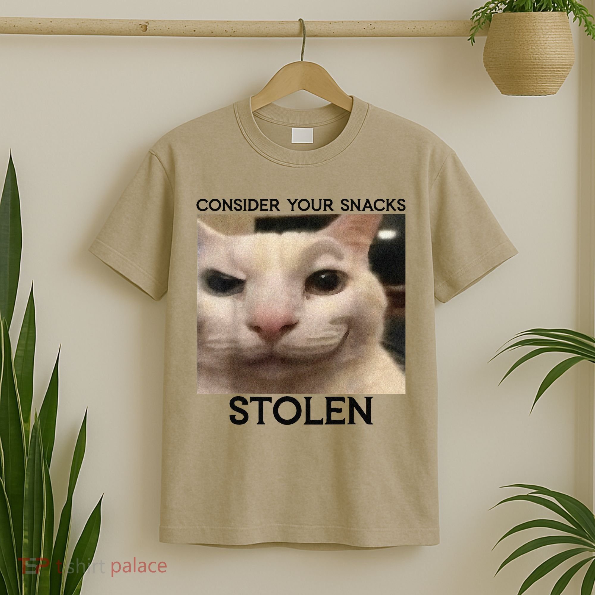 Funny Silly Cat Sarcastic Saying Funny Cat T-Shirt