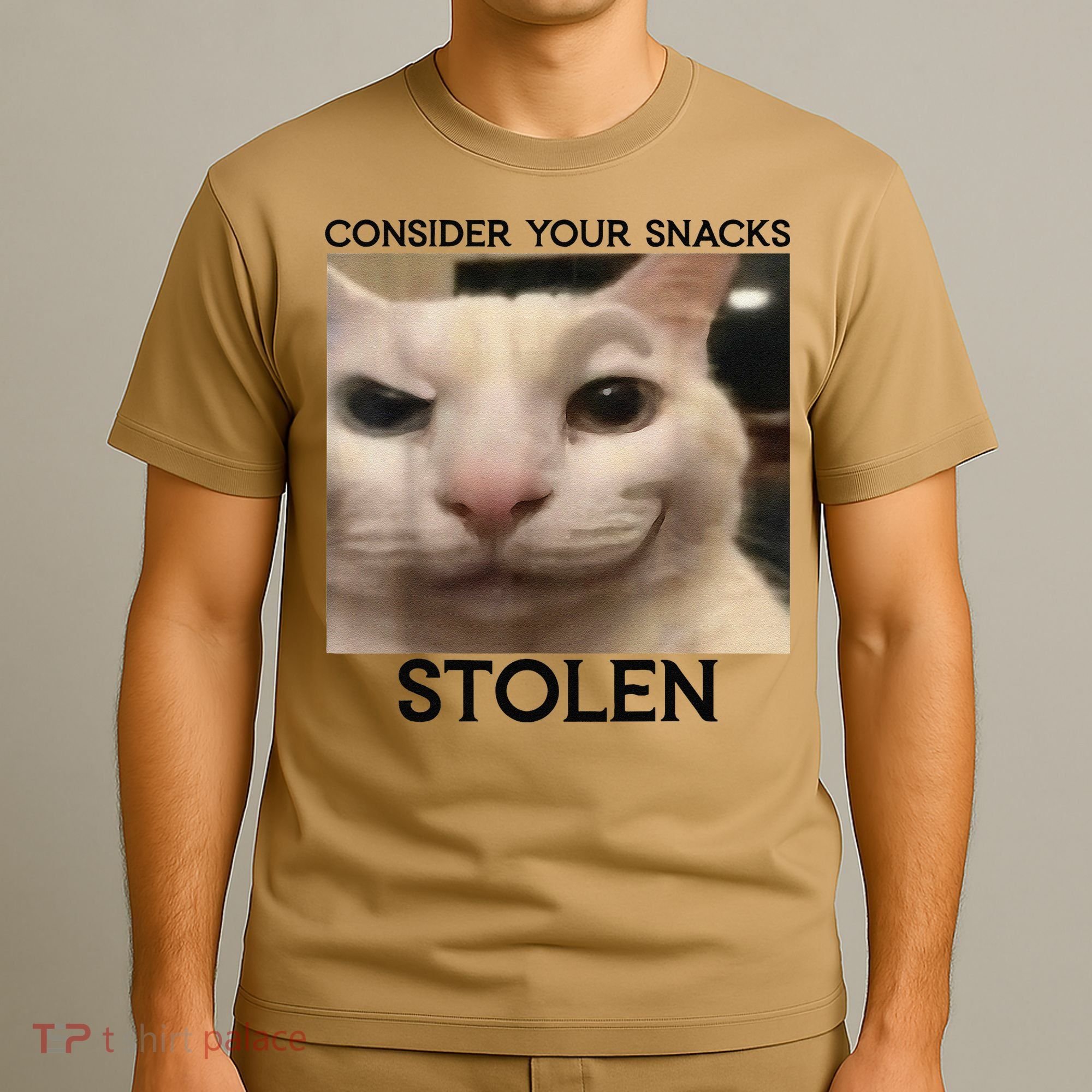 Funny Silly Cat Sarcastic Saying Funny Cat T-Shirt