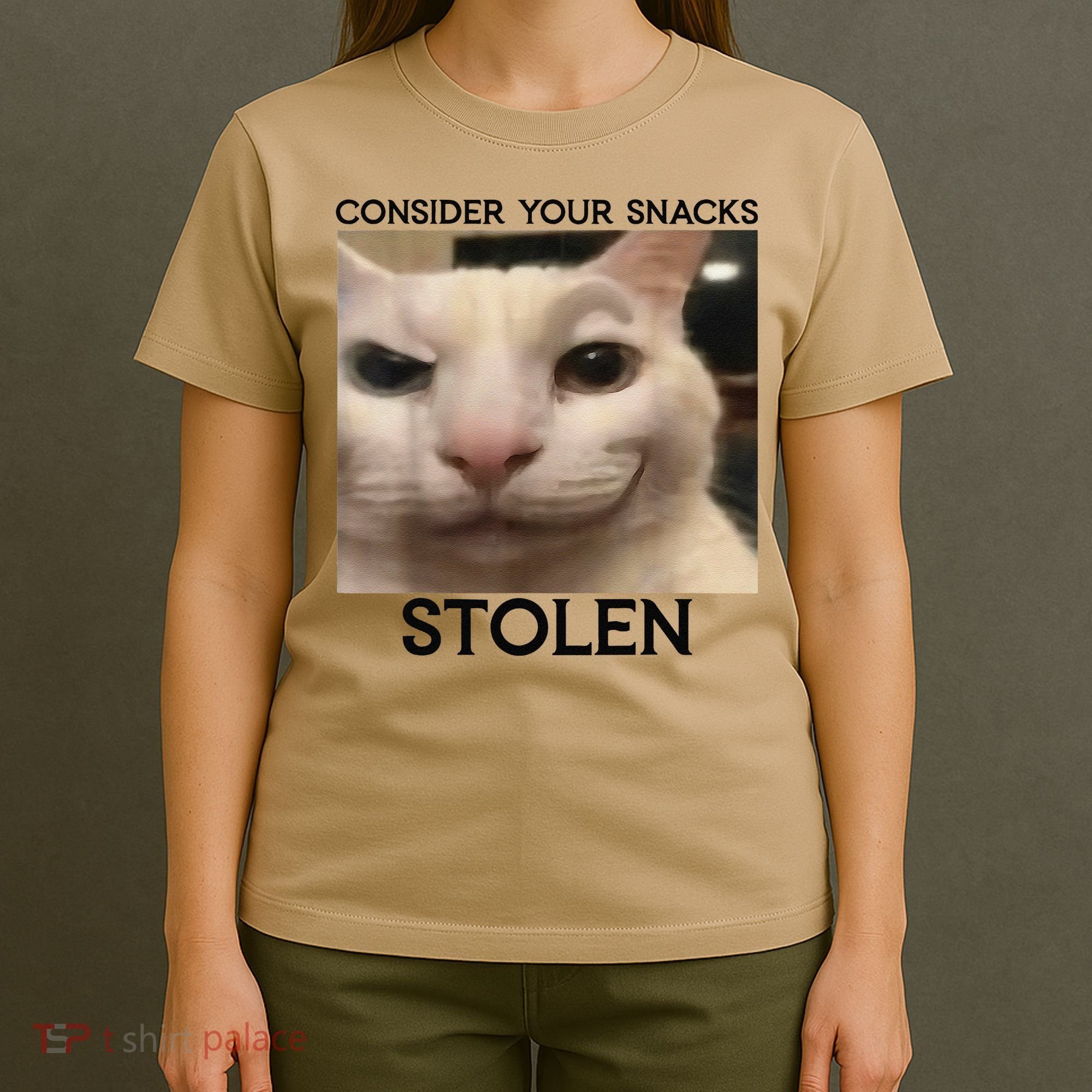 Funny Silly Cat Sarcastic Saying Funny Cat T-Shirt