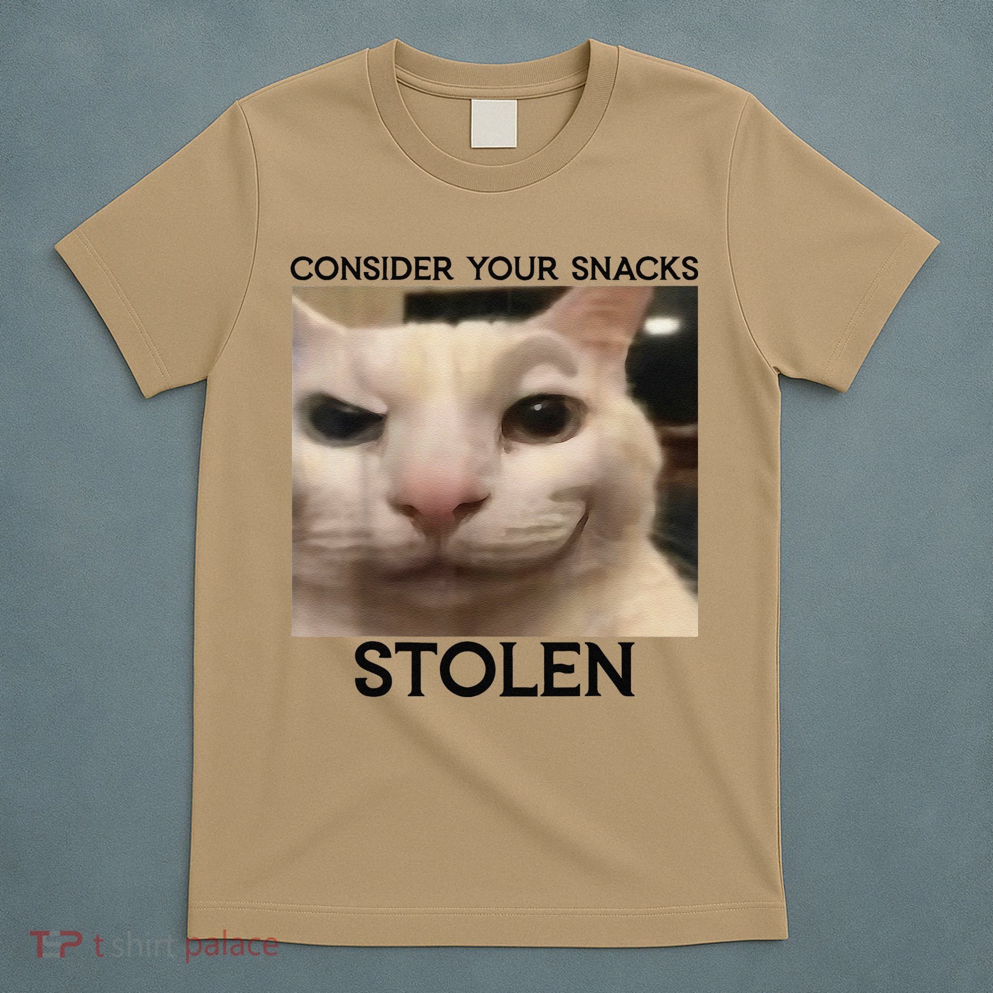 Funny Silly Cat Sarcastic Saying Funny Cat T-Shirt