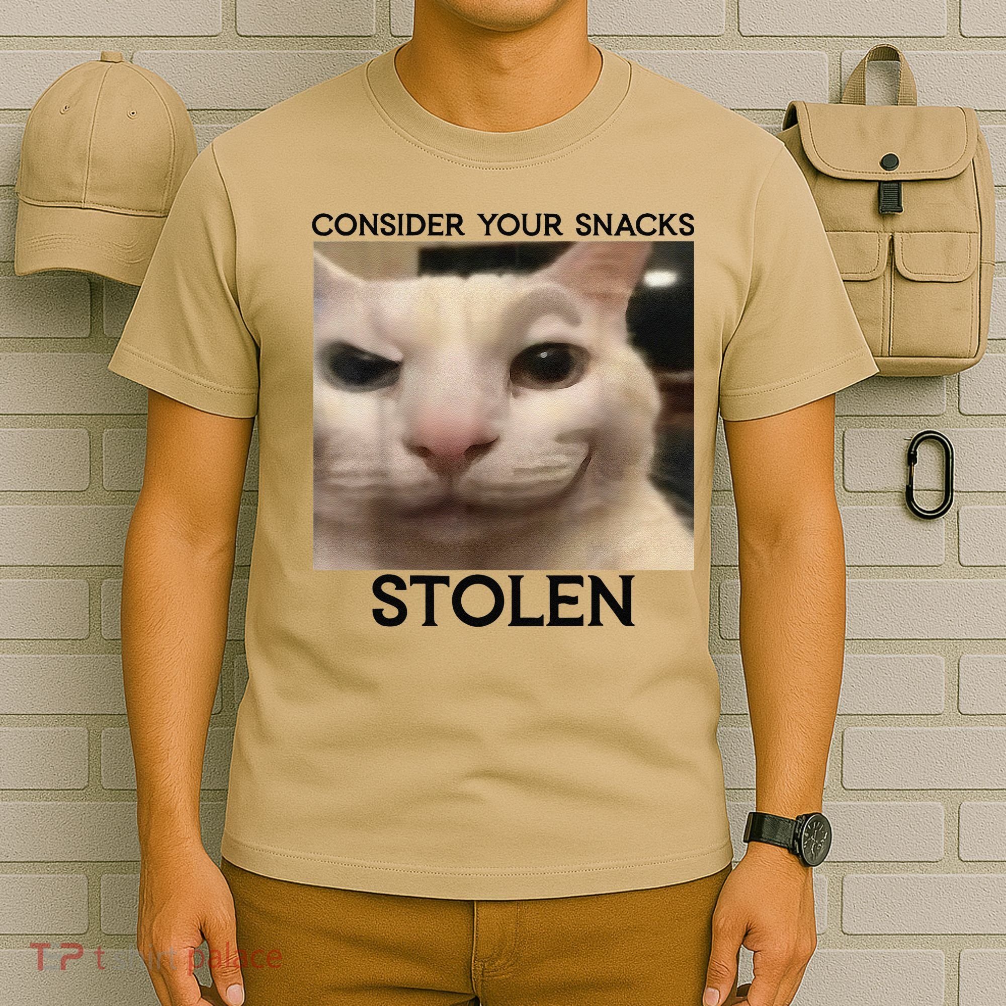 Funny Silly Cat Sarcastic Saying Funny Cat T-Shirt