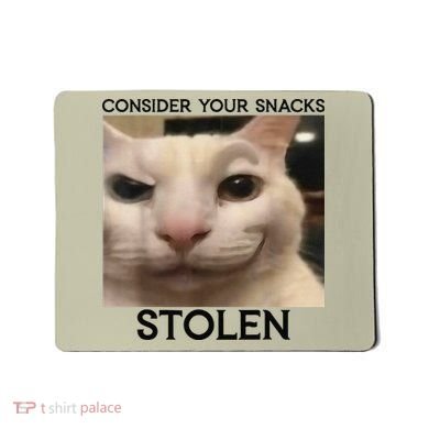 Funny Silly Cat Sarcastic Saying Funny Cat Mousepad