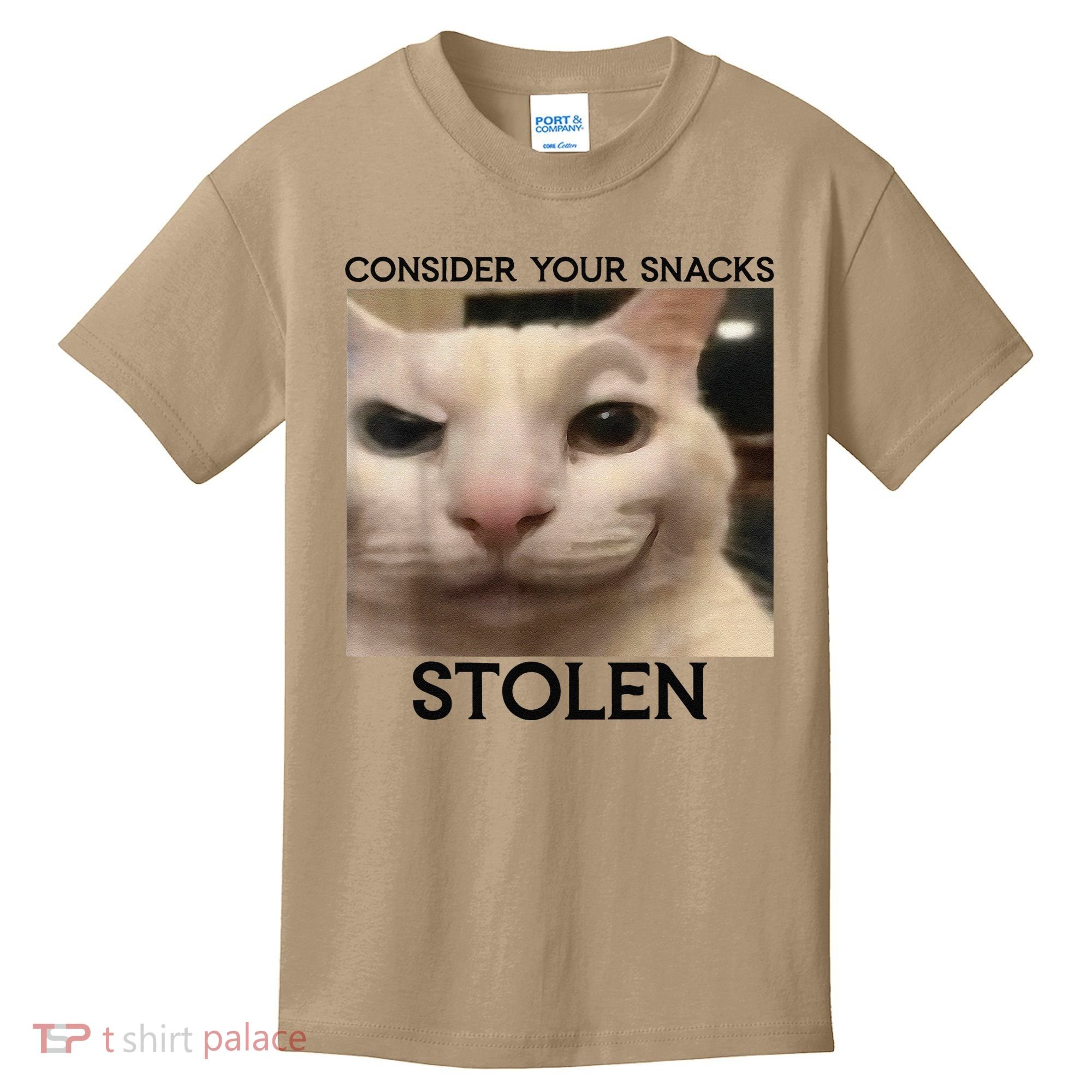 Funny Silly Cat Sarcastic Saying Funny Cat Kids T-Shirt
