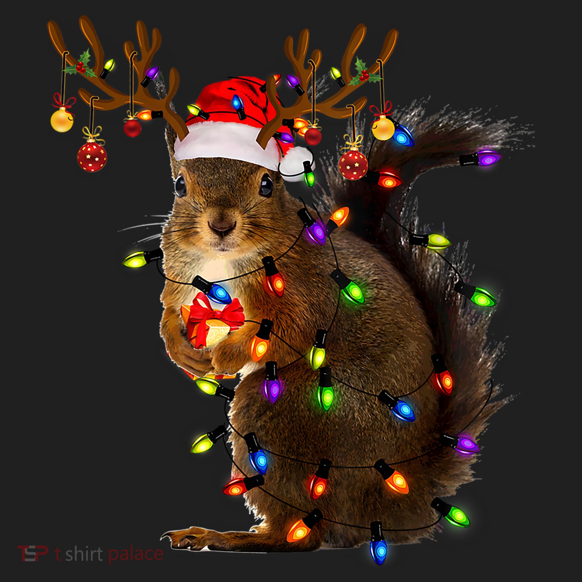 Funny Squirrel Christmas Tree Lights Reindeer Santa Hat Xmas Gift Women's Sweatshirt