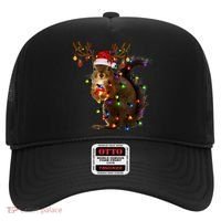 Funny Squirrel Christmas Tree Lights Reindeer Santa Hat Xmas Gift Hat thumb 0