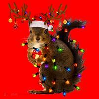 Funny Squirrel Christmas Tree Lights Reindeer Santa Hat Xmas Gift Santa Hat thumb 1