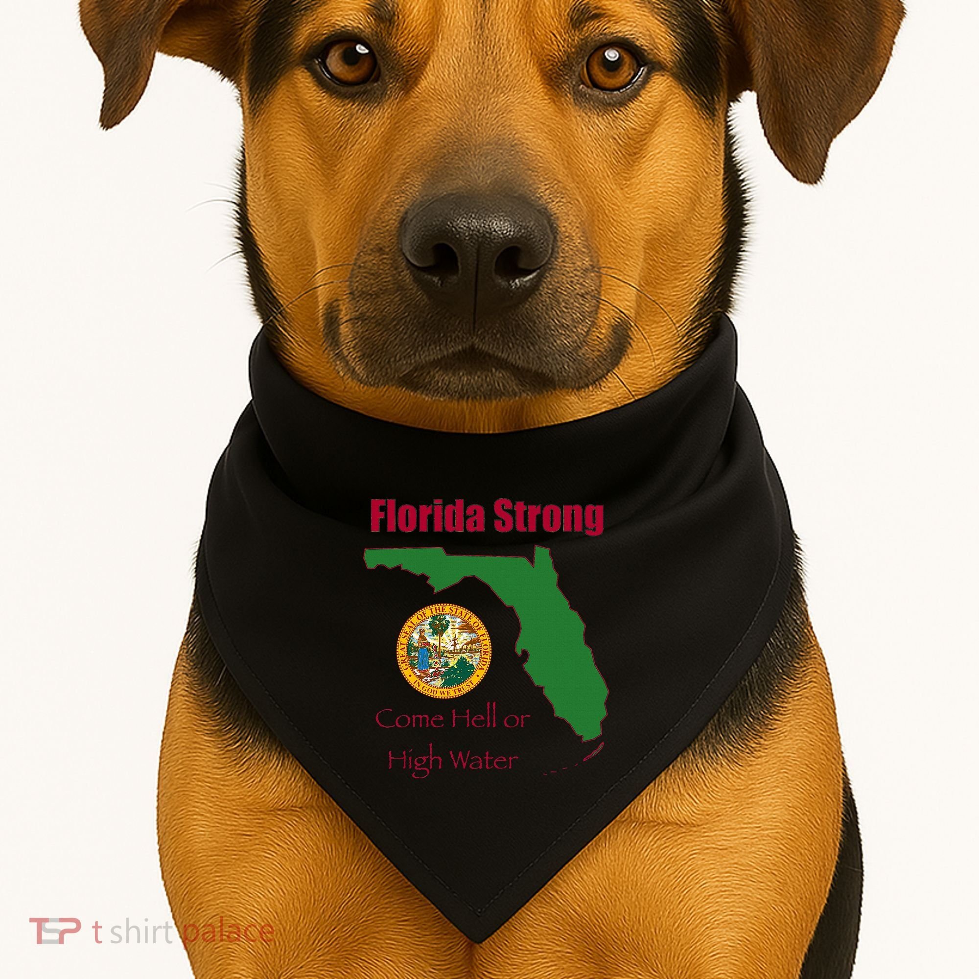 Florida Strong Come Hell Or High Water USA-Made Doggie Bandana