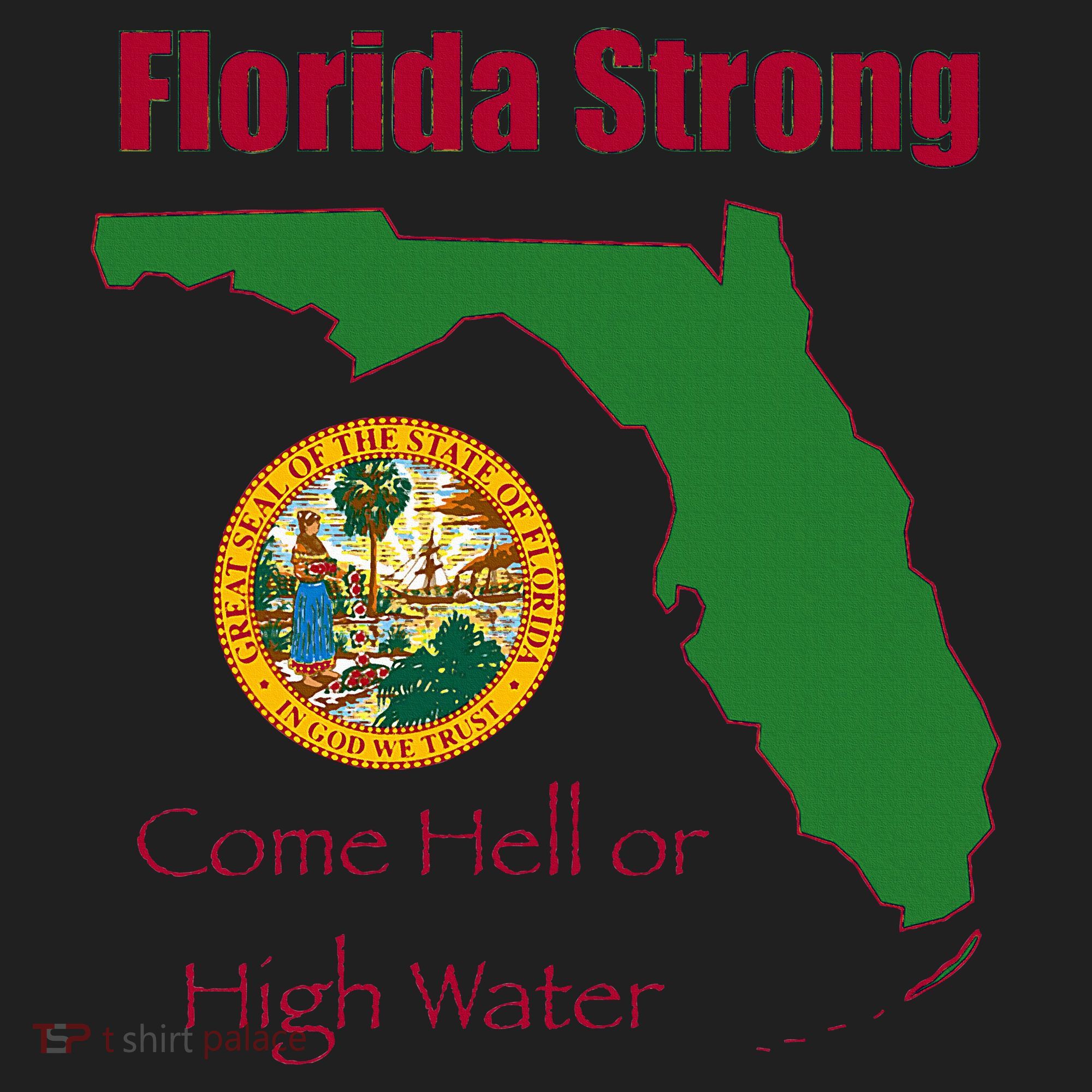 Florida Strong Come Hell Or High Water Hat